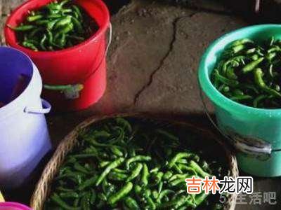 青辣椒怎么晒成白辣椒?