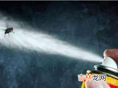 跳蚤怎么去除?