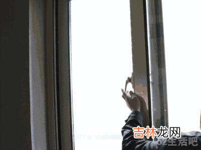 跳蚤怎么去除?