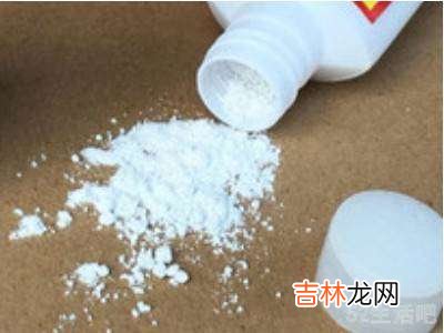 跳蚤怎么去除?