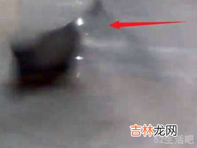 荞麦皮枕头怎么清洗去除螨虫?