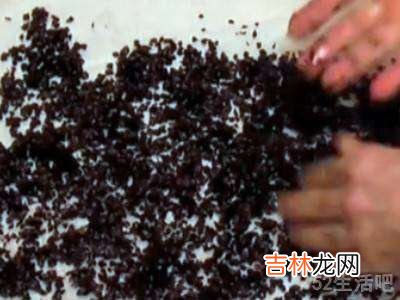 荞麦皮枕头怎么清洗去除螨虫?