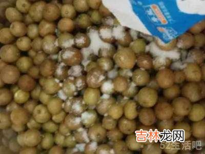 黄皮果怎样晒干?