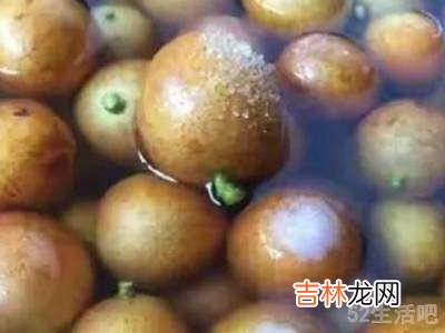 黄皮果怎样晒干?