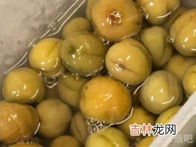 奈李怎么保存?
