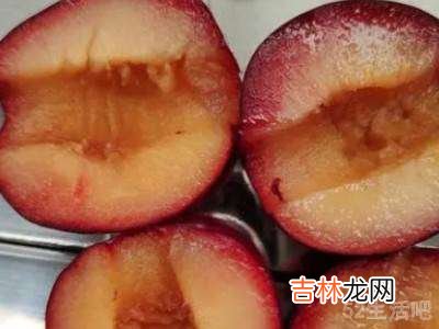奈李怎么保存?