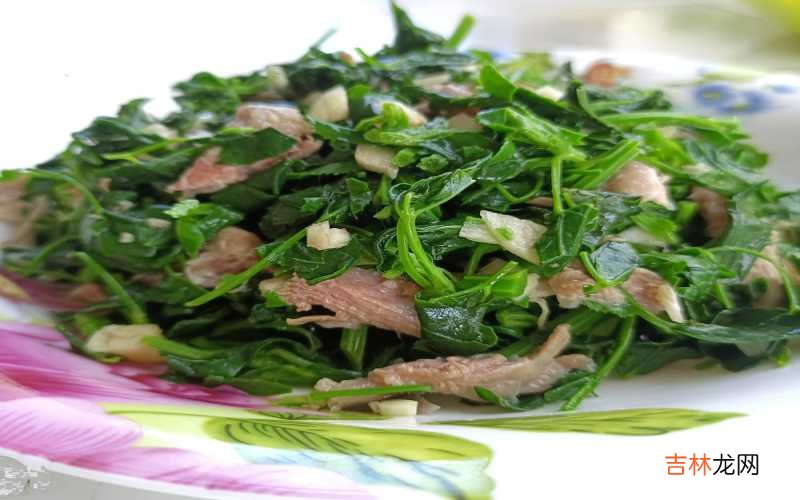 羊肉拌苜蓿