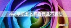 vivo手机怎么静音而且不震动?