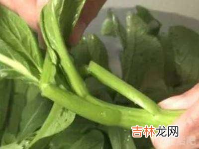 怎样让蔫了的蔬菜恢复?