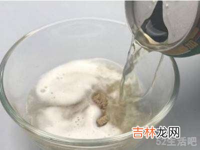 家里有虫子怎么办?