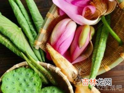 荷花可以做哪些菜?
