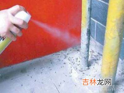 家里有烟草甲虫如何消灭?