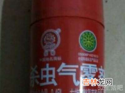 家里有烟草甲虫如何消灭?
