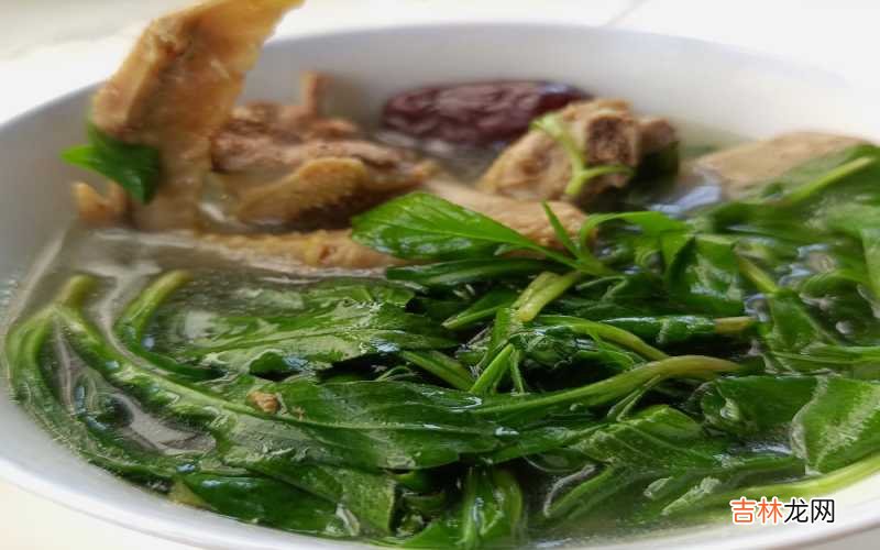 马兰头鸽子汤
