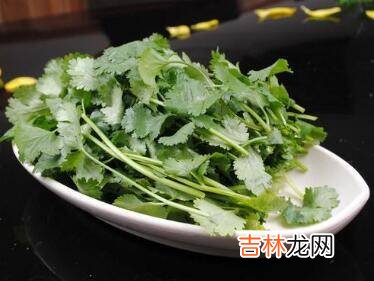 香菜长什么样