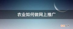 农业如何做网上推广?