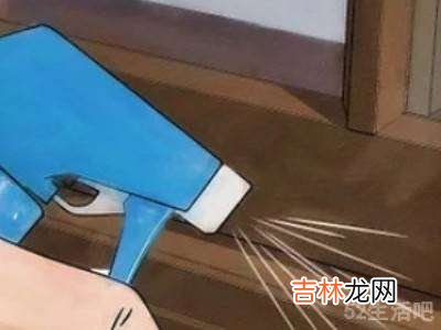 床板有臭虫怎么办?