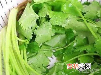 香菜怎么切?