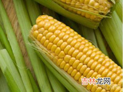 青玉米的储藏方法?