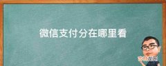 微信支付分在哪里看?