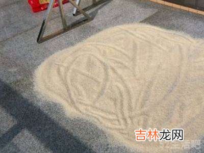 夏天大米里有小黑虫怎么办?