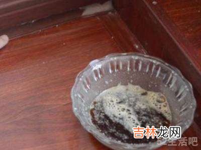 高层楼房有蟑螂怎么办?