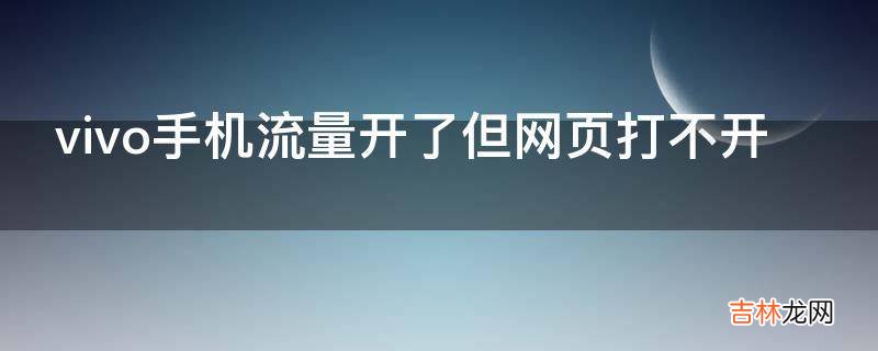 vivo手机流量开了但网页打不开?