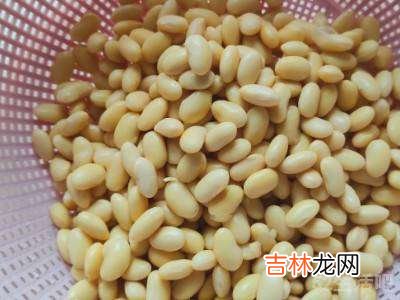 黄豆来不及泡怎么办?