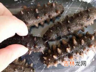 海参干如何泡发?