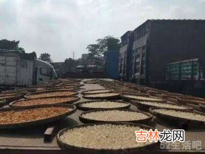 龙眼干如何制成的?