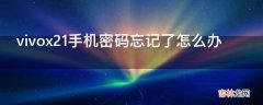 vivox21手机密码忘记了怎么办?