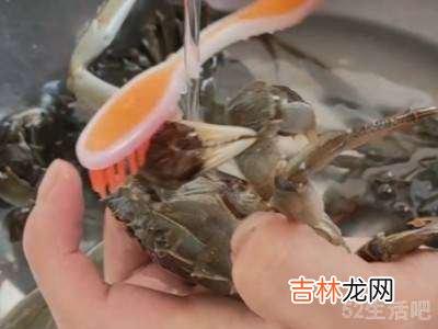 小螃蟹怎么清洗处理?