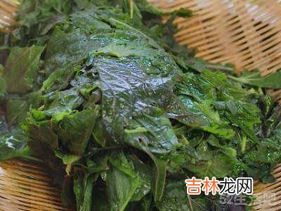 怎么晒紫苏苦瓜皮零食?