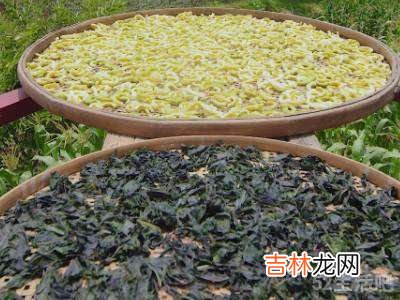 怎么晒紫苏苦瓜皮零食?