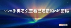 vivo手机怎么查看已连接的wifi密码?