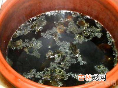 苁蓉如何吃?
