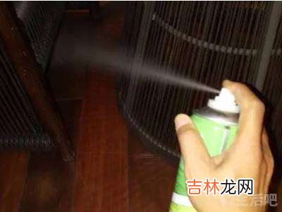 家里的小黑虫从哪来的怎样消灭?