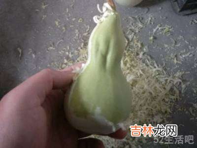 刚摘的葫芦怎么处理才能保存?