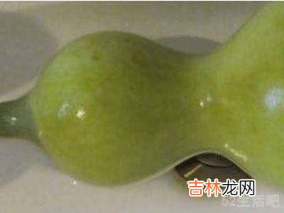 刚摘的葫芦怎么处理才能保存?