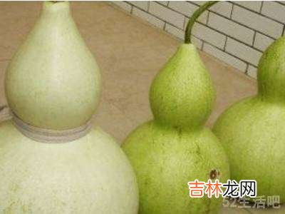刚摘的葫芦怎么处理才能保存?