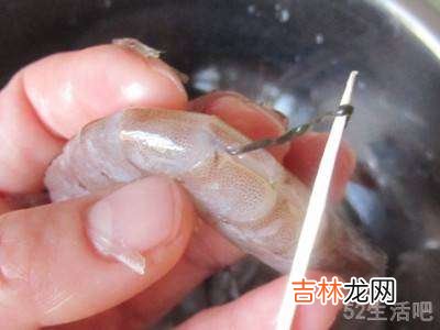 罗氏虾怎么挑虾线?