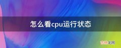 怎么看cpu运行状态?