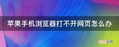 苹果手机浏览器打不开网页怎么办?