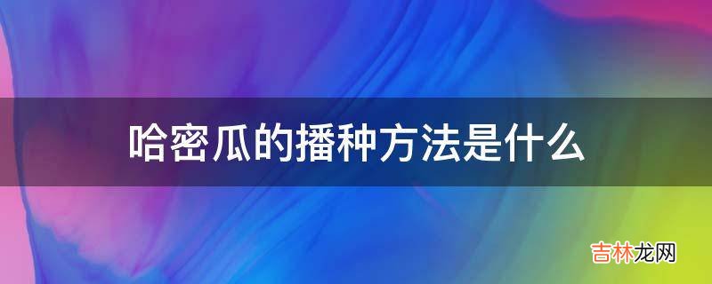 哈密瓜的播种方法是什么?