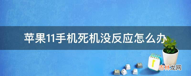 苹果11手机死机没反应怎么办?