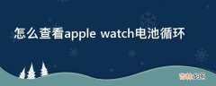 怎么查看apple watch电池循环?