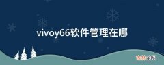 vivoy66软件管理在哪?