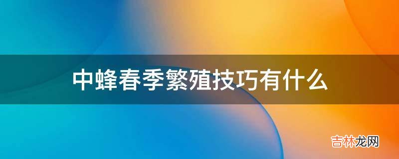 中蜂春季繁殖技巧有什么?