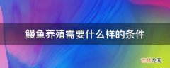 鳗鱼养殖需要什么样的条件?