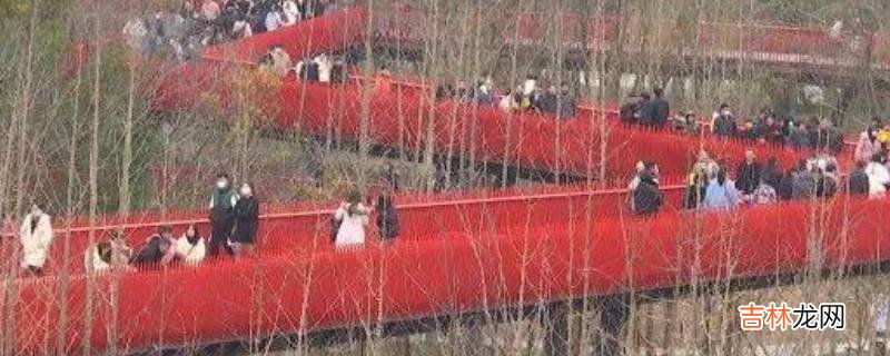 嘉兴网红桥的起点和终点